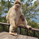 Phil Lawson - @phil.lawson.nz - Instagram