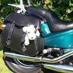 Phil S Liggett - @phil.s.liggett - Instagram