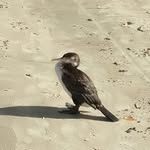 Philip Liggett - @philip.liggett.1 - Instagram