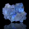 phi_light - @phi_lights - TikTok