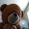 little_phil_3 - @little_phil_3 - TikTok