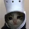 Phil Little - @phil.little - TikTok