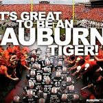 Phil Littrell - @autigeralum83 - Instagram