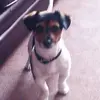 phillomas7 - @phillomas7 - TikTok