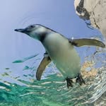 Professor, Dr. phil. Lord Huhn - @huehna - Instagram
