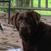 Phil Lovell - Facebook
