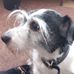 Phil Lovell - Facebook