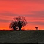 Phil Lovell - @plovell28 - Instagram