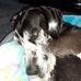Phil Manley - Facebook