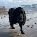 Phil Manley - @mannersmanley - Instagram
