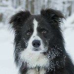 Phil Mann - @fellsnapper - Instagram