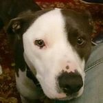 Phil Marchant - @phil.marchant - Instagram