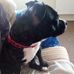 Phil Marchant - Facebook