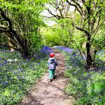 Phil Mayo - @phil_j_mayo - Instagram