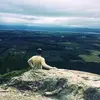 Phil McCormick - @philmccormick0 - TikTok