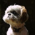 Phil Mccullough - @kirk17011701 - Instagram