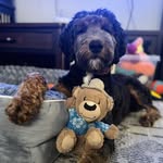 Philip McDaniel - @pmcd2003 - Instagram