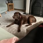Phil Mcfadden - @phil.mcfadden.7 - Instagram