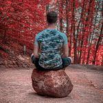 Phil McGregor Mindset - @lebedeineintuition - Instagram