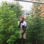 Phil McIntosh - @dshawnwarren - Instagram