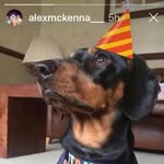 Phil Mckenna - @slinkythe_sausage - Instagram