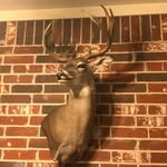 Phil McKinney - @phil.mckinney.165 - Instagram