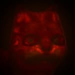 Phil McKracken - @ur_l0c4l_c10wn - Instagram