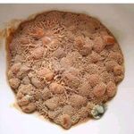 Phil McKrackin - @philmckrackin - Instagram