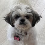 Philip McLain - @phil.mclain - Instagram