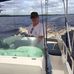 Phil Meacham - Facebook