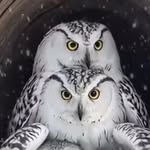 Phil Meakins - @phil.meakins.1 - Instagram