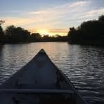 Phil Meldrum - @phil_meldrum - Instagram