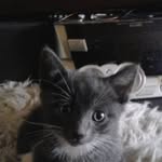 Philip Merrick - @philip.merrick.37 - Instagram