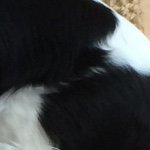 Philip Messenger - @pemessenger - Instagram