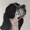 philippemesser - @philippemesser - TikTok