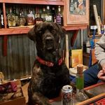 Phil Michaels - @phil.michaels.3 - Instagram