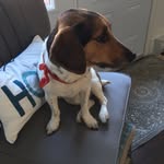 Daisy Phillips Michaud - @daisyphillipsmichaud - Instagram