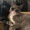 Phil Michel - @philmichel08 - TikTok