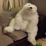 Phil Millard - @millard.phil - Instagram