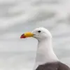 philmorenobuo961 - @philmorenobuo961 - TikTok