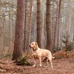 Phil Morrison - @philmorrison6 - Instagram