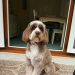 phil muir - @phil.muir - Instagram