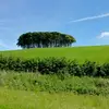 Phil Needham - @philneedham1 - TikTok