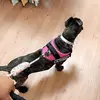 norman Philip - @norman.philip6 - TikTok