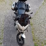 Philippe Noyes - @philippe_noyes - Instagram
