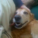 @philokun - Instagram