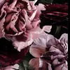 Philomena Olaleye - @philomena.olaleye - TikTok