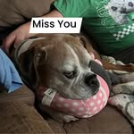 Phil Orr - @phil.orr.399 - Instagram