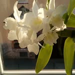 Nowak Horst - @philosmondi - Instagram