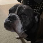 Phil Ott - @pottman65 - Instagram
